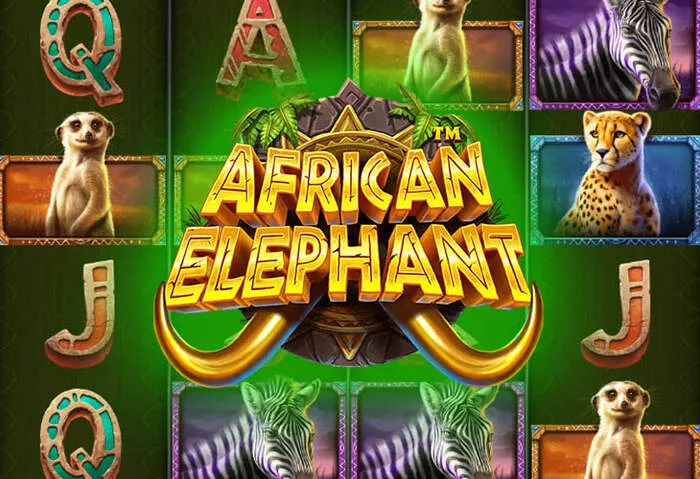 Mobilní aplikace DraftKings Casino s tipy na hraní
